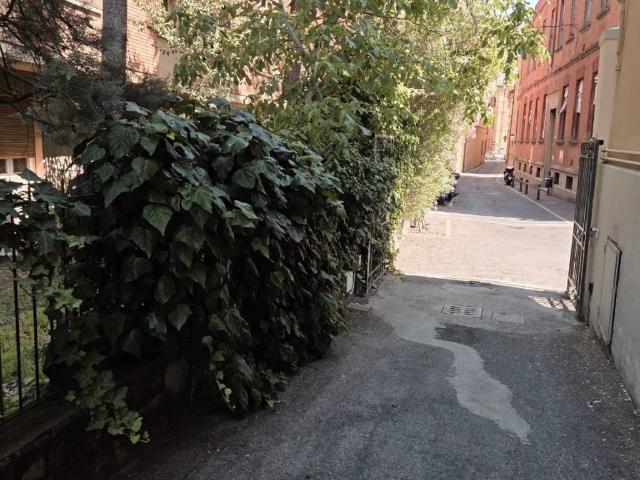 Appartamento in affitto a Bologna BO
