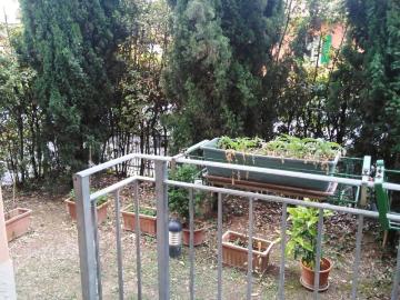 Appartamento in affitto a Bologna BO