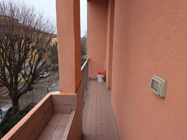 Appartamento in affitto a Bologna BO