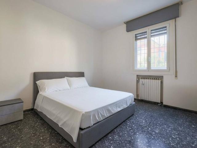 Appartamento in affitto a Bologna BO