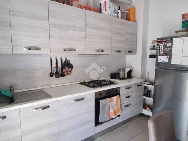 Appartamento in affitto a Bologna BO