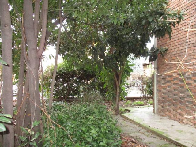 Appartamento in affitto a Bologna via Piana, 3, arredato, giardino privato, riscaldamento autonomo TrovaCasa