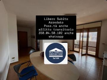 Appartamento in affitto a Bollate MI