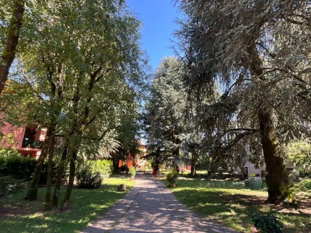 Appartamento in affitto a Bonate Sotto BG