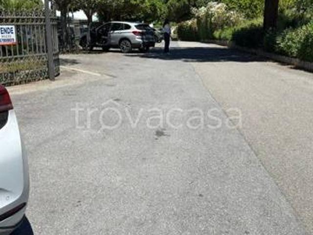 Appartamento in affitto a Bonifati via Paneduro, 130, arredato, terrazzo, vista mare TrovaCasa