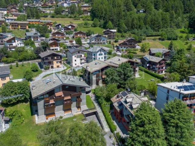 Appartamento in affitto a Bormio via Antonio Negri, 4, arredato, box, ristrutturato TrovaCasa