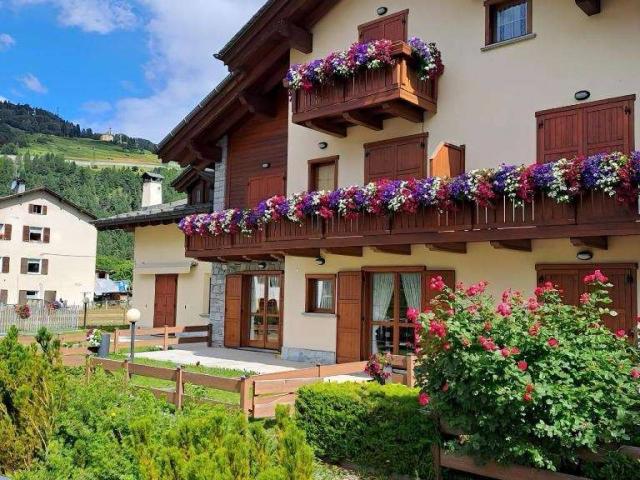 Appartamento in affitto a Bormio SO