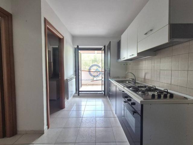 Appartamento in affitto a Borgia CZ