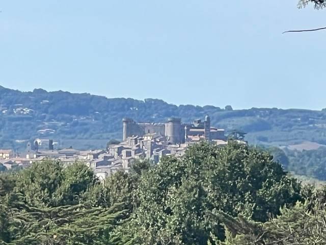 Appartamento in affitto a Bracciano via della Selciatella, arredato, giardino privato, vista panoramica TrovaCasa