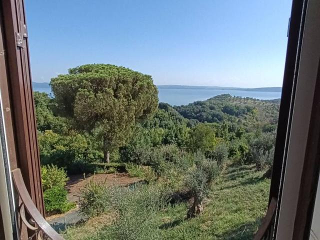 Appartamento in affitto a Bracciano RM