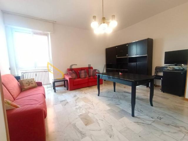 Appartamento in affitto a Brugherio MB