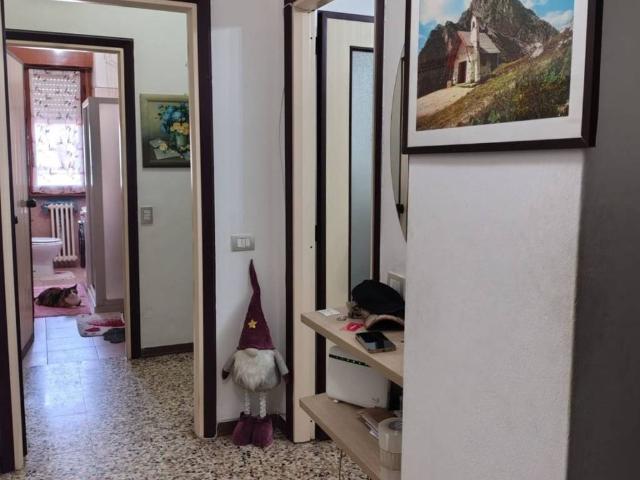 Appartamento in affitto a Brugherio MB