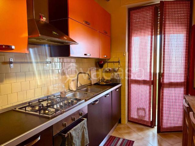 Appartamento in affitto a Cuneo, arredato, vista panoramica, cantina TrovaCasa
