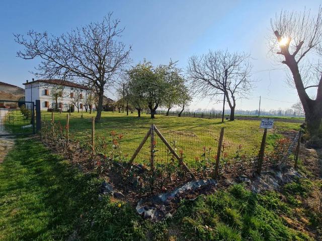 Appartamento in affitto a Curtatone MN