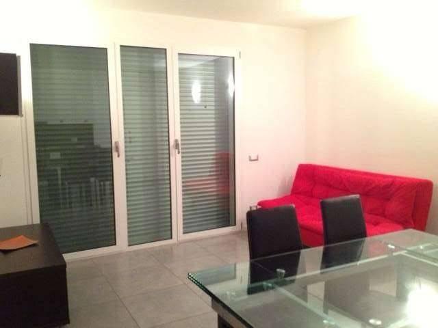 Appartamento in affitto a Curtatone MN