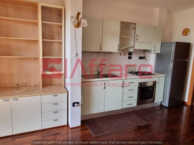 Appartamento in affitto a Calcinaia PI
