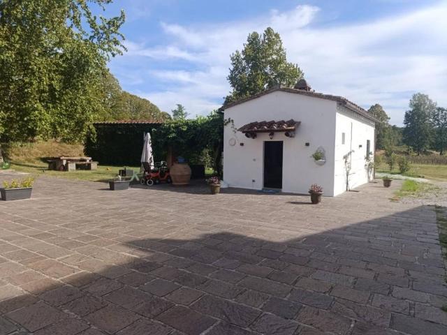 Appartamento in affitto a Calcinaia PI