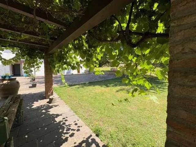 Appartamento in affitto a Calcinaia PI
