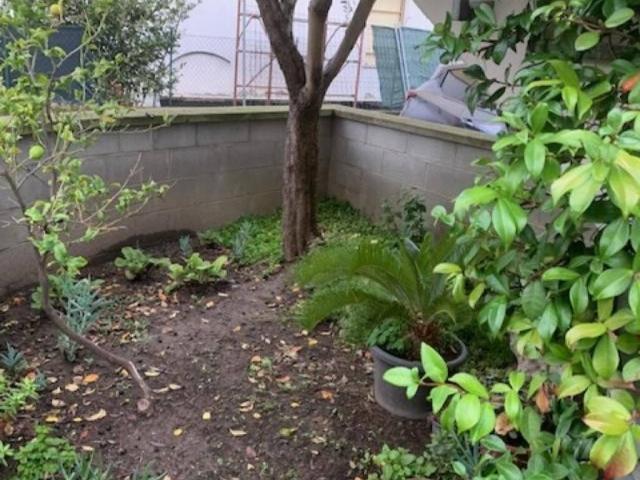 Appartamento in affitto a Calcinaia PI