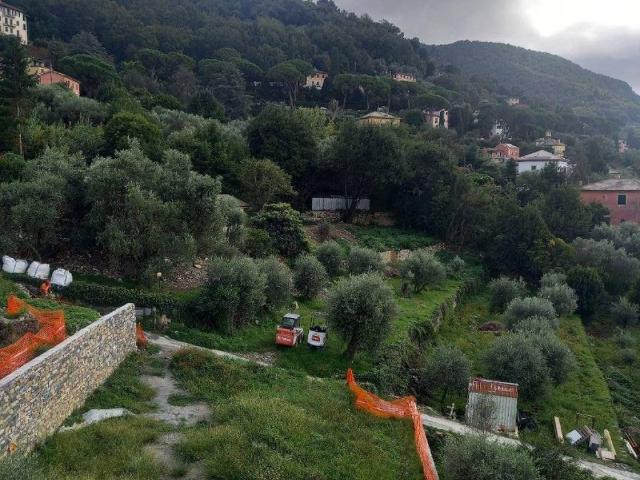 Appartamento in affitto a Camogli GE