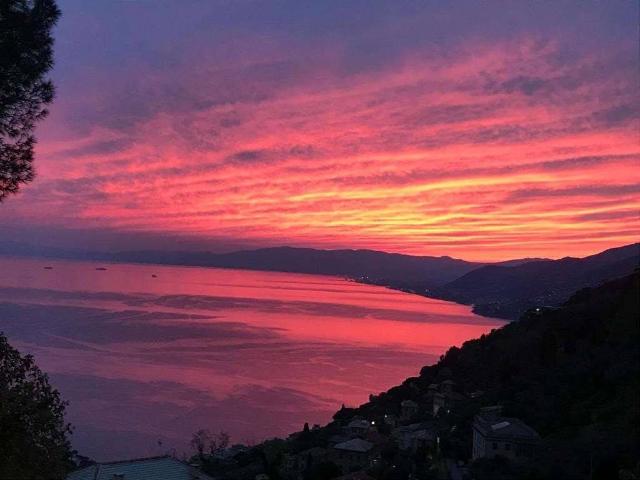 Appartamento in affitto a Camogli GE