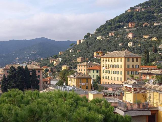 Appartamento in affitto a Camogli GE