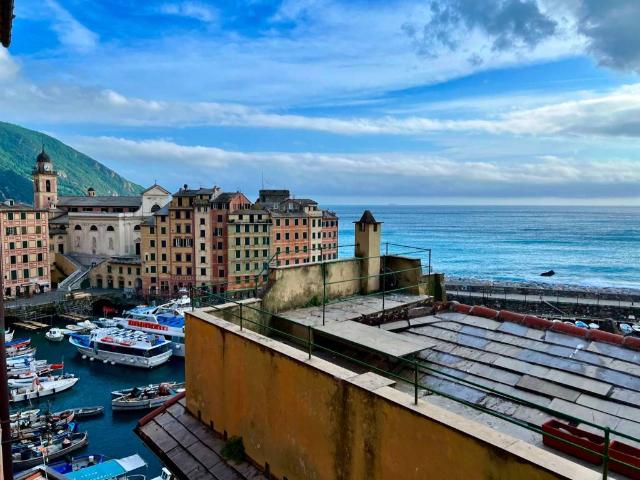 Appartamento in affitto a Camogli GE