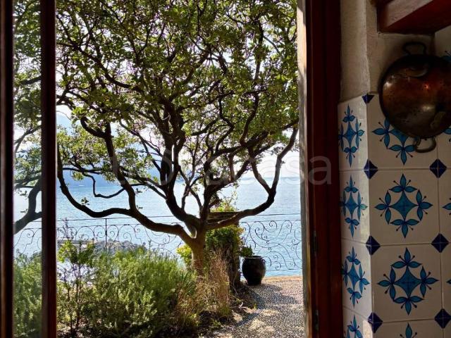 Appartamento in affitto a Camogli via Jacopo Ruffini, 15, arredato, giardino privato, terrazzo TrovaCasa