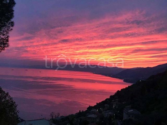 Appartamento in affitto a Camogli via Romana di Levante