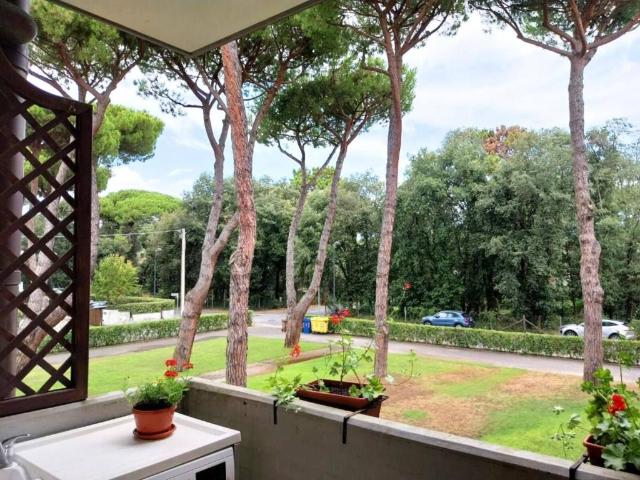 Appartamento in affitto a Camaiore LU