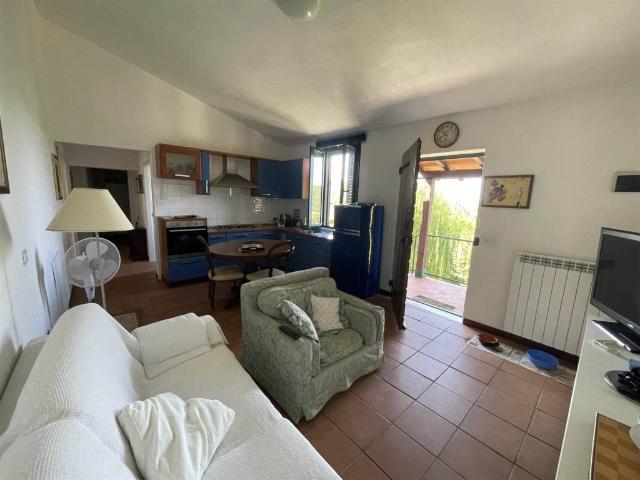 Appartamento in affitto a Campagnatico GR