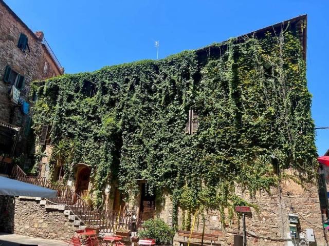 Appartamento in affitto a Campiglia Marittima LI