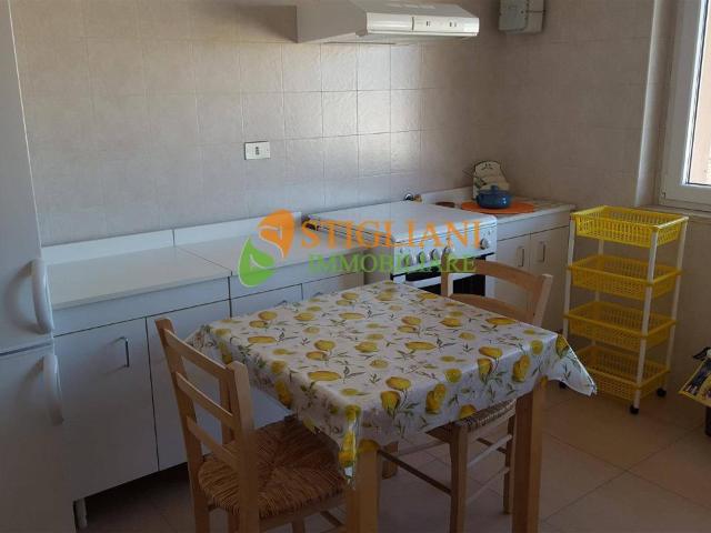 Appartamento in affitto a Campobasso