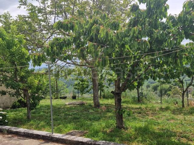 Appartamento in affitto a Campobasso contrada Colli, non arredato/vuoto, parzialmente arredato, balcone TrovaCasa