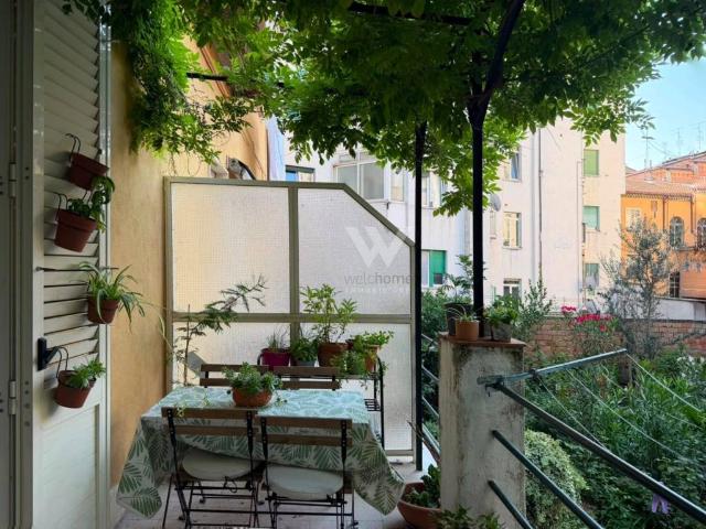 Appartamento in affitto a Campobasso CB