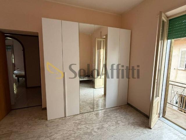 Appartamento in affitto a Canino VT