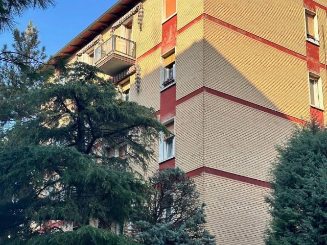 Appartamento in affitto a Casalecchio di Reno BO