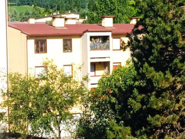 Appartamento in affitto a Casalecchio di Reno BO