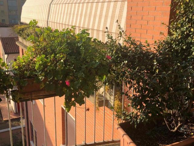 Appartamento in affitto a Casciavola Cascina