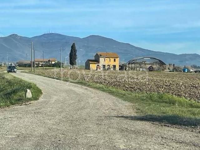 Appartamento in affitto a Cascina via dei Merli, 45, non arredato/vuoto, giardino privato, posto auto TrovaCasa