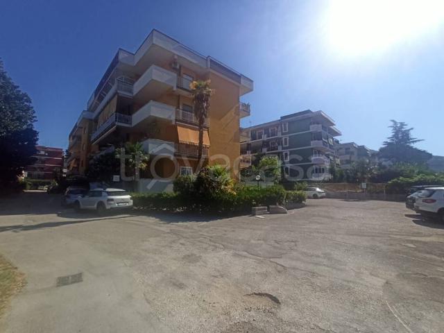 Appartamento in affitto a Caserta via Francesco Petrarca, 20, box, buono stato, piscina TrovaCasa