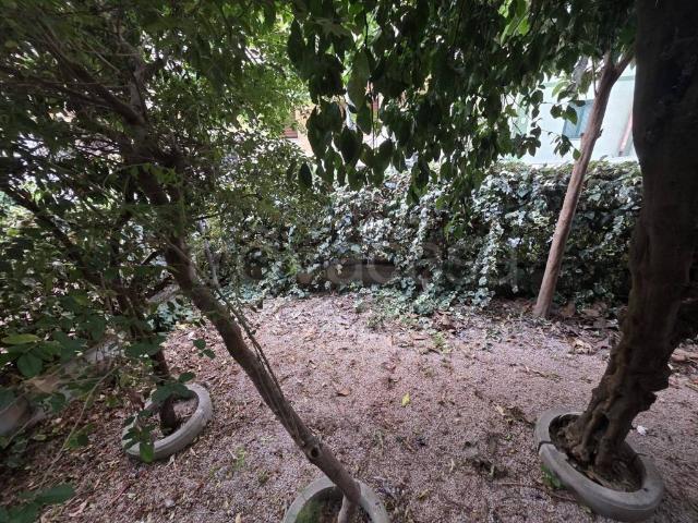 Appartamento in affitto a Caserta via Gino Chierici, 10, arredato, giardino privato, riscaldamento autonomo TrovaCasa