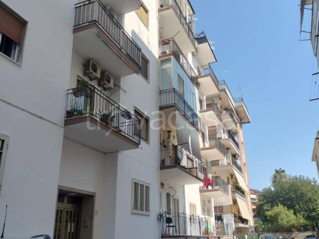 Appartamento in affitto a Caserta via Luigi Pirandello, arredato, nuova costruzione, ascensore TrovaCasa