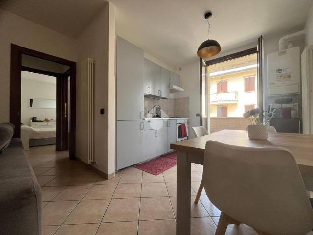 Appartamento in affitto a Castelnovo di Sotto RE