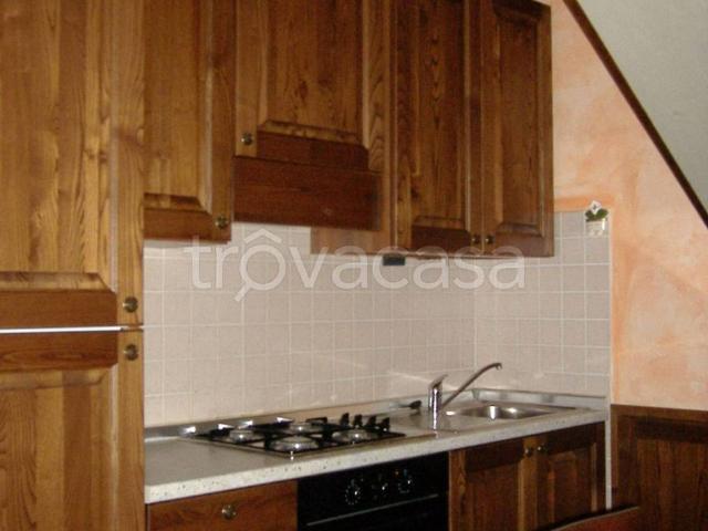 Appartamento in affitto a Castelfiorentino, arredato, giardino privato, ristrutturato TrovaCasa