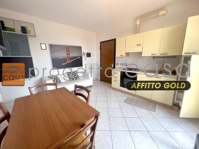 Appartamento in affitto a Castelfranco Emilia MO