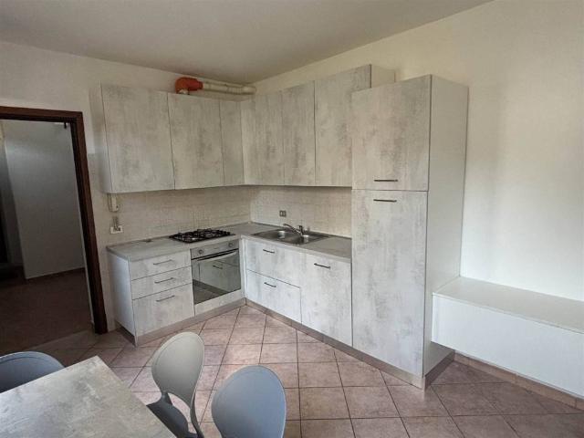 Appartamento in affitto a Castelguglielmo RO