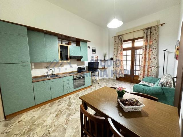 Appartamento in affitto a Castellaro IM