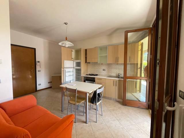 Appartamento in affitto a Castelvetro di Modena MO