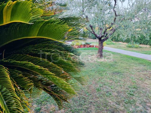 Appartamento in affitto a Capannori via del Chiasso, arredato, giardino privato, posto auto TrovaCasa